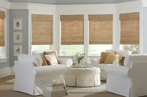 Interior Window Shades