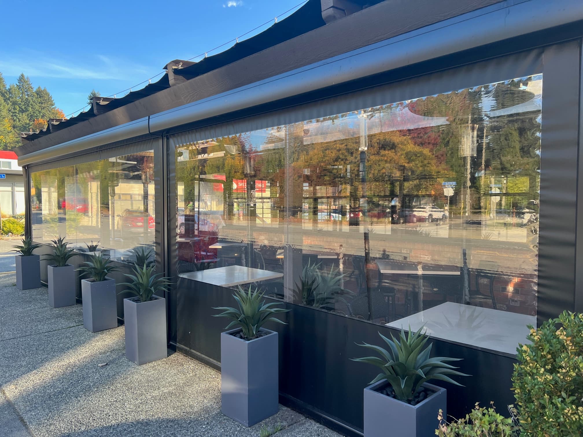 Cactus Club Clear Vinyl Enclosure